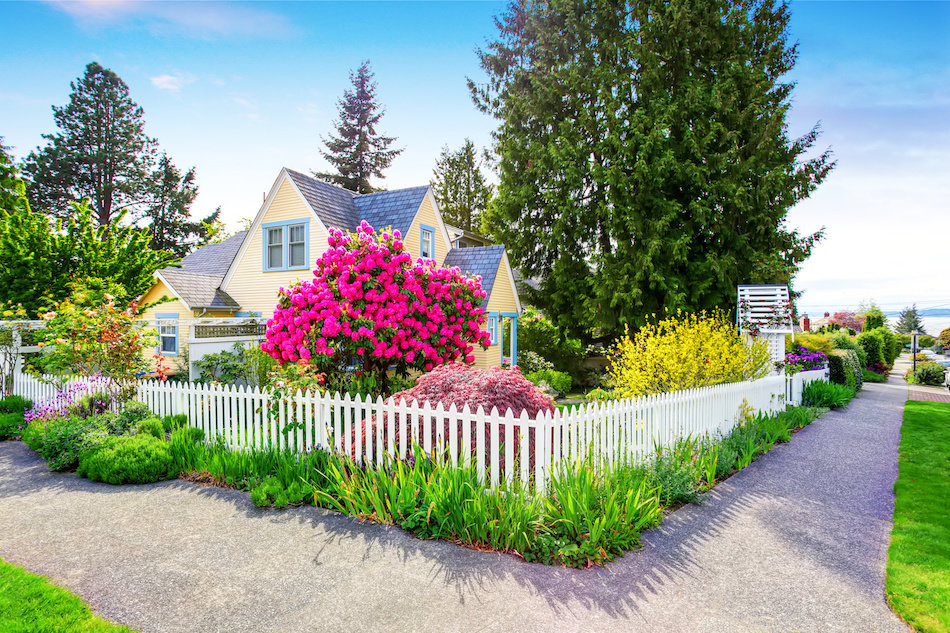 Good Curb Appeal Rules