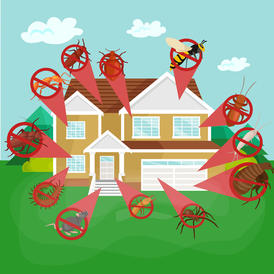 What  Homeowners Can Do About Pests