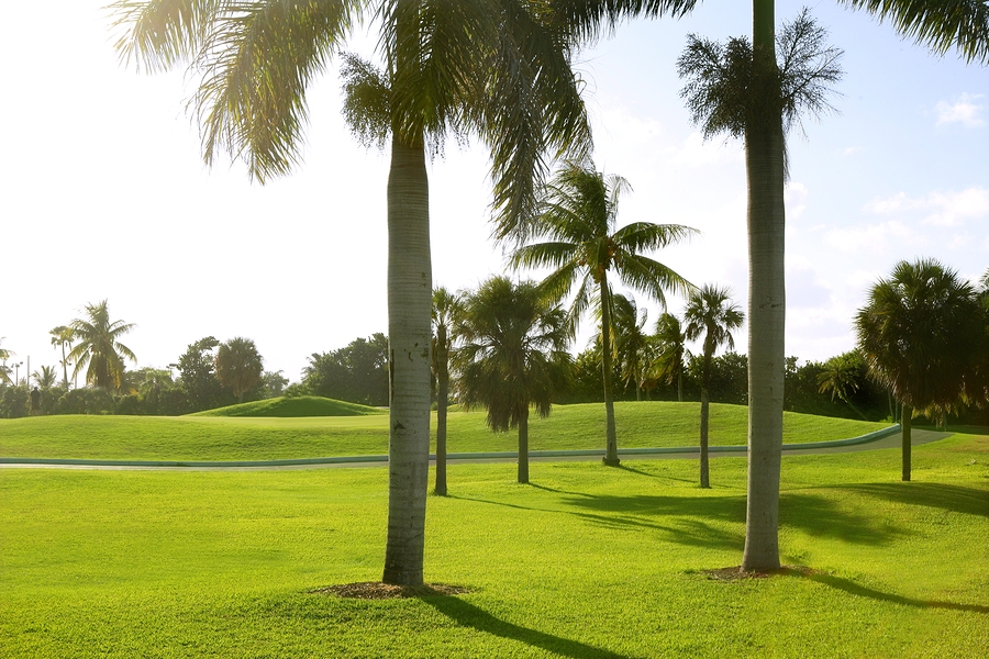 Golf Course Lots in Jupiter Palm Beach Area