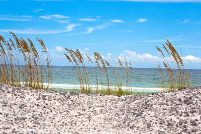 Hobe Sound Waterfront Homes Real Estate